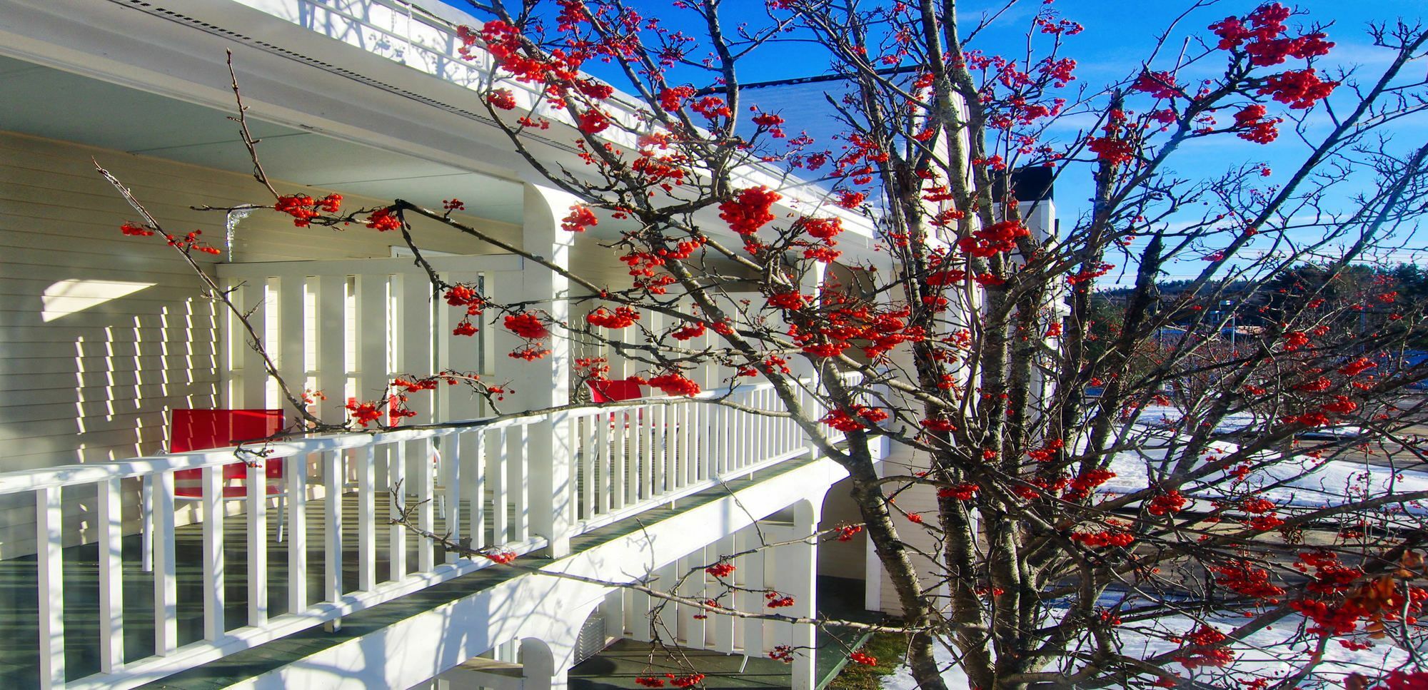 Green Granite Inn North Conway Exterior foto